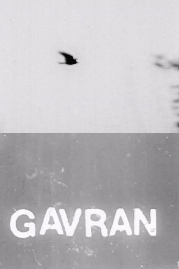 The Raven poster