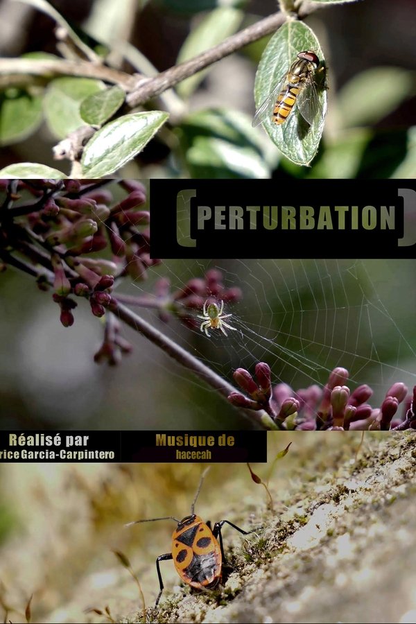 Perturbation poster