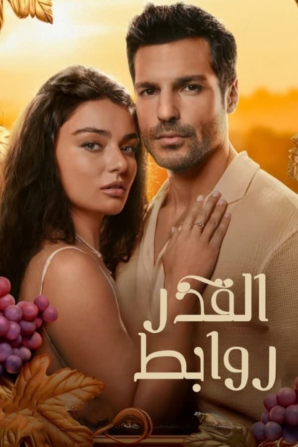 AR - مسلسل روابط القدر مدبلج
