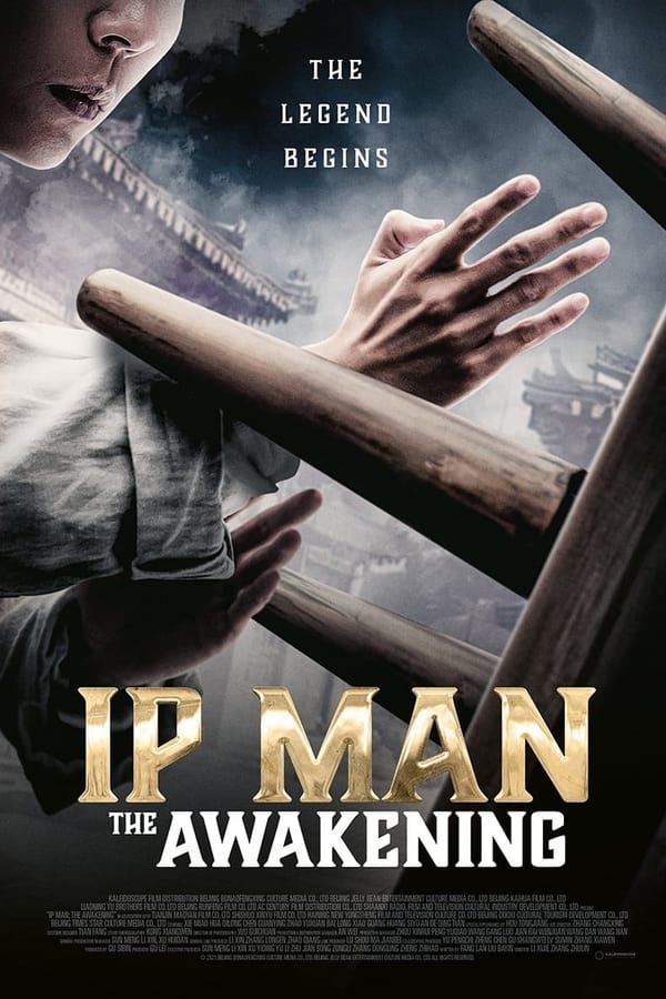 DE - Ip Man: The Awakening (2023)