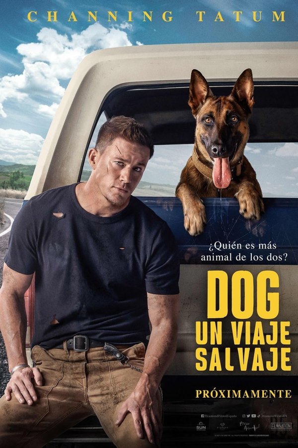 Dog. Un viaje salvaje