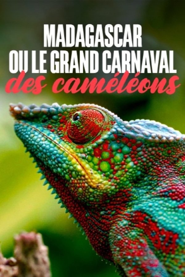Madagascar or the Great Carnival of the Chameleons poster