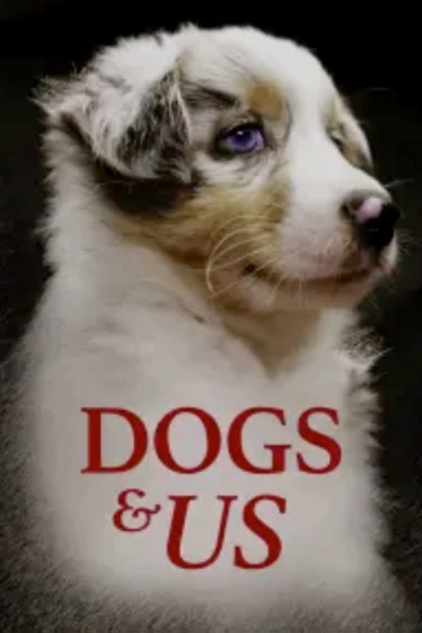 Dogs and Us: The Secret of a Friendship