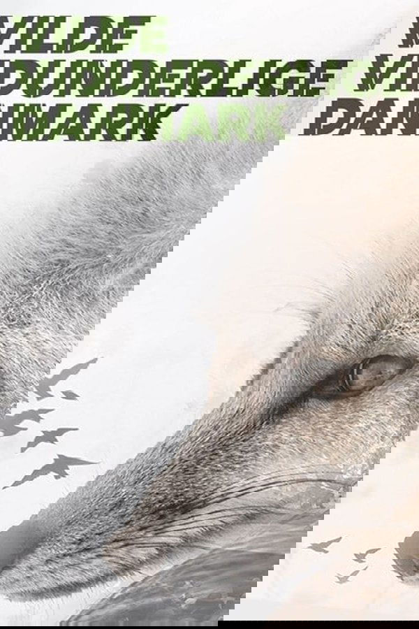 Wild and Wonderful Denmark