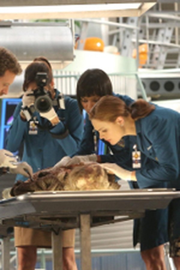Bones – S09E06 – Forse oggi sposi