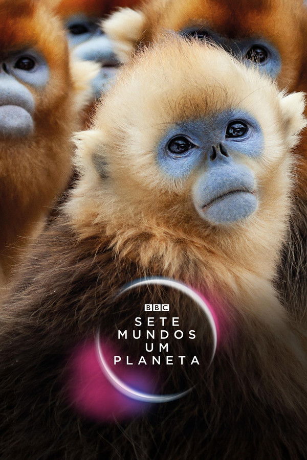 Sete Mundos Um Planeta