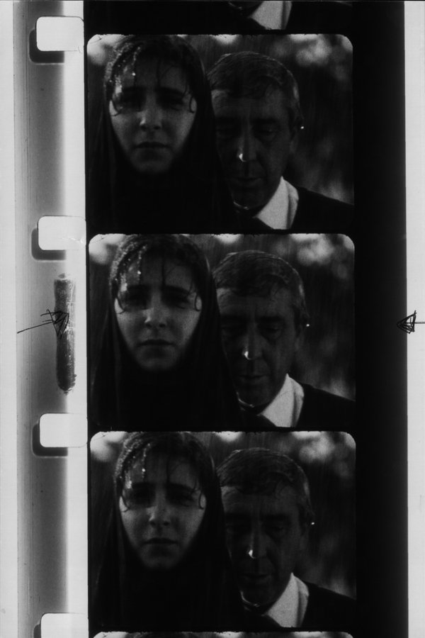 Memory of the Unknown