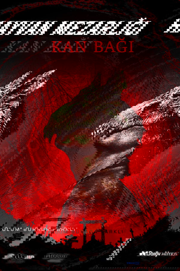 TR - Hayvan Mezarlığı: Kan Bağı - 2023