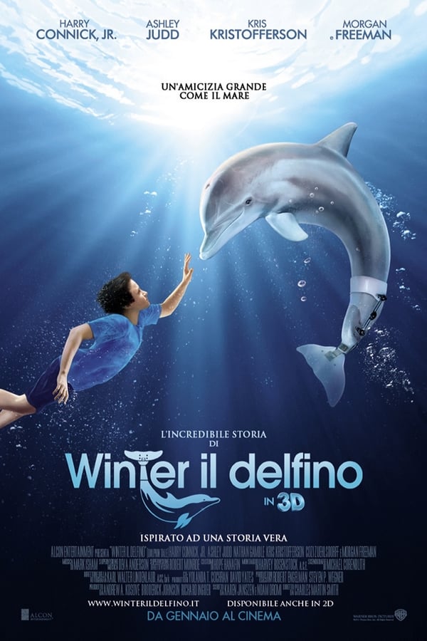 L’incredibile storia di Winter il delfino