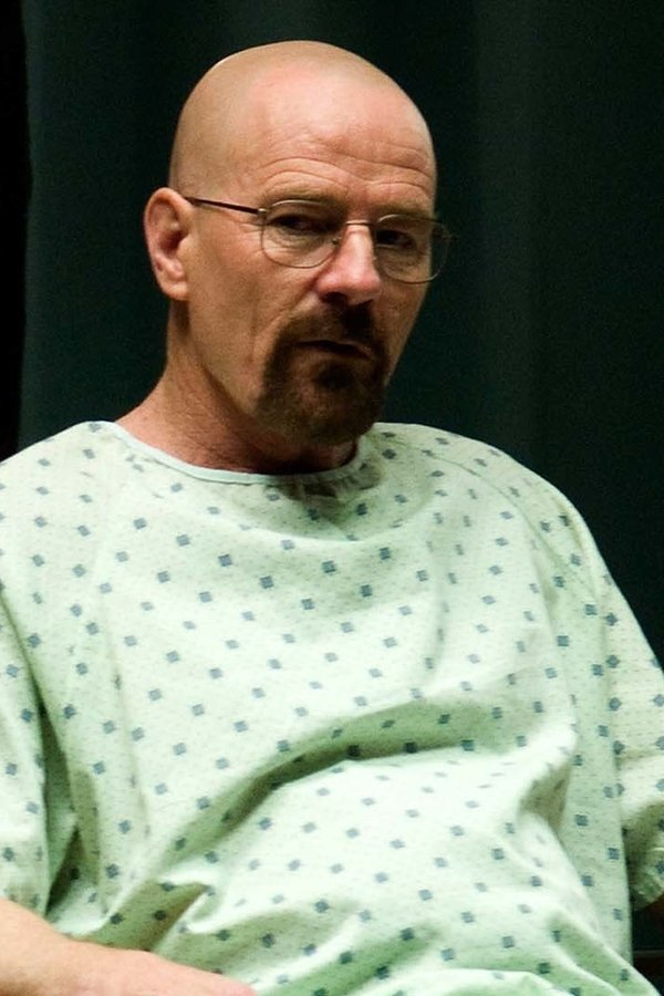 Breaking Bad – Reazioni collaterali – S04E08 – Fratelli
