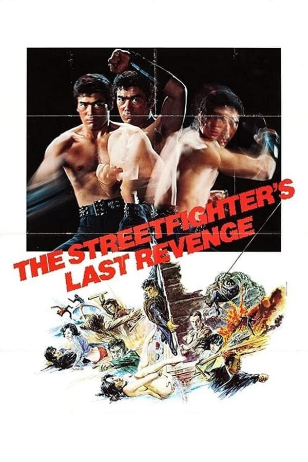 The Street Fighter 3: The Street Fighter’s Last Revenge