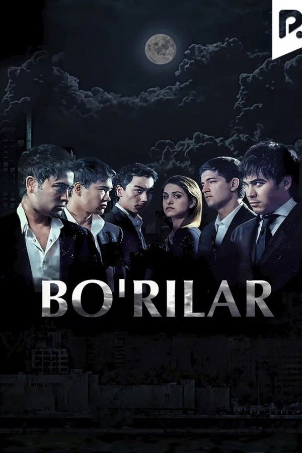 Bo'rilar