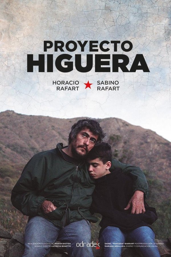 Proyecto higuera