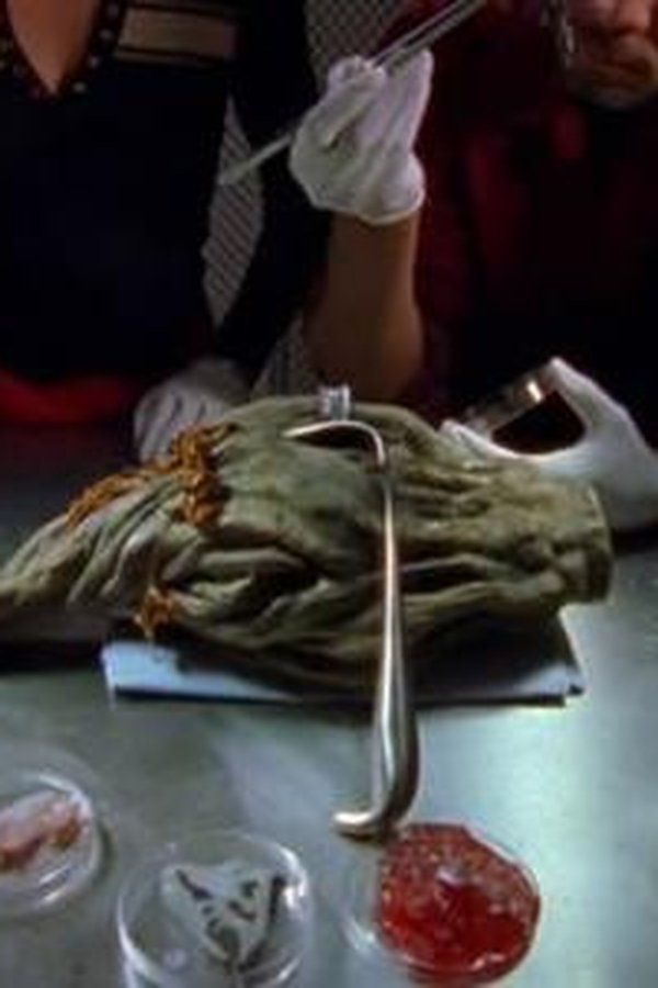 Tremors – S01E05 – Episodio 5