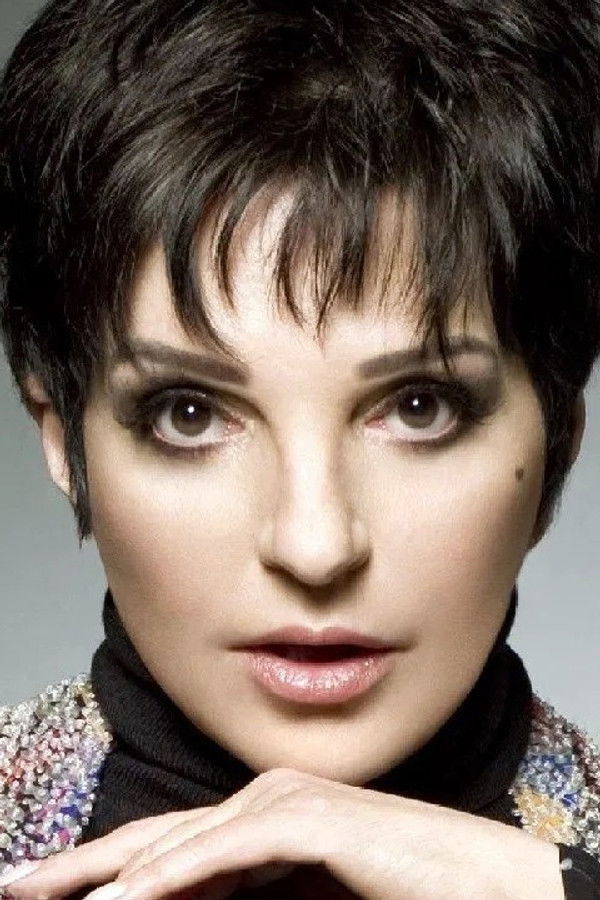 Liza Minnelli's headshot