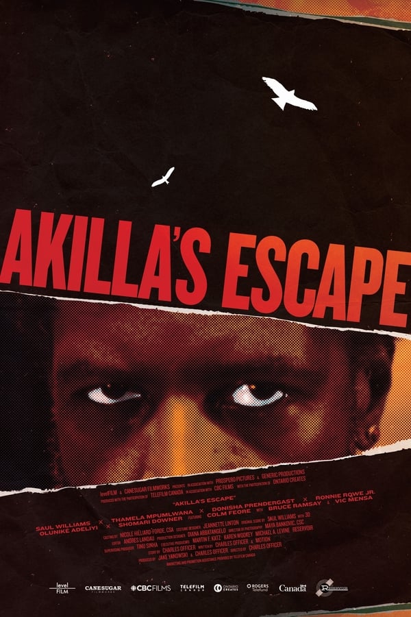 AR - Akilla's Escape  (2020)