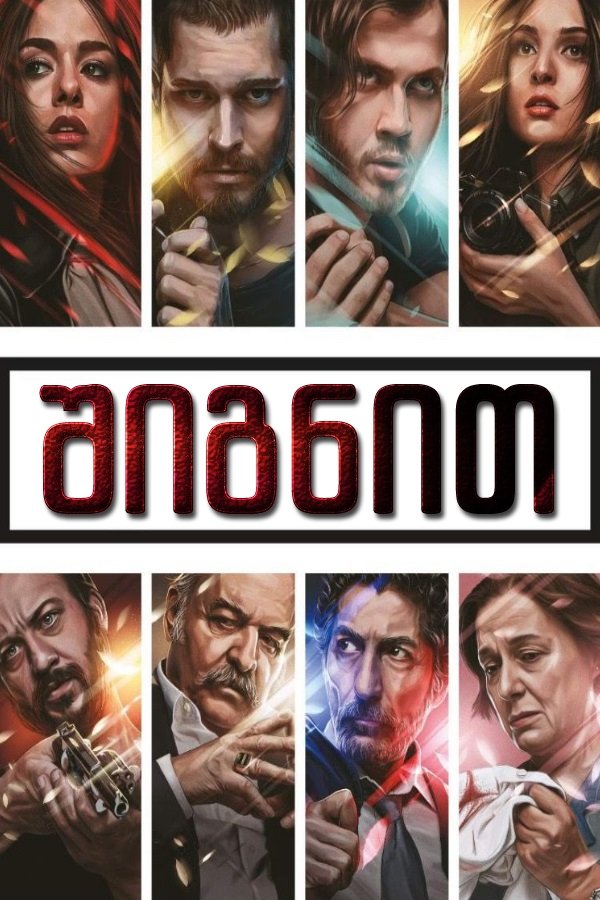 შიგნით (ძმა) / Insider (İçerde) (ქართულად) (2016)