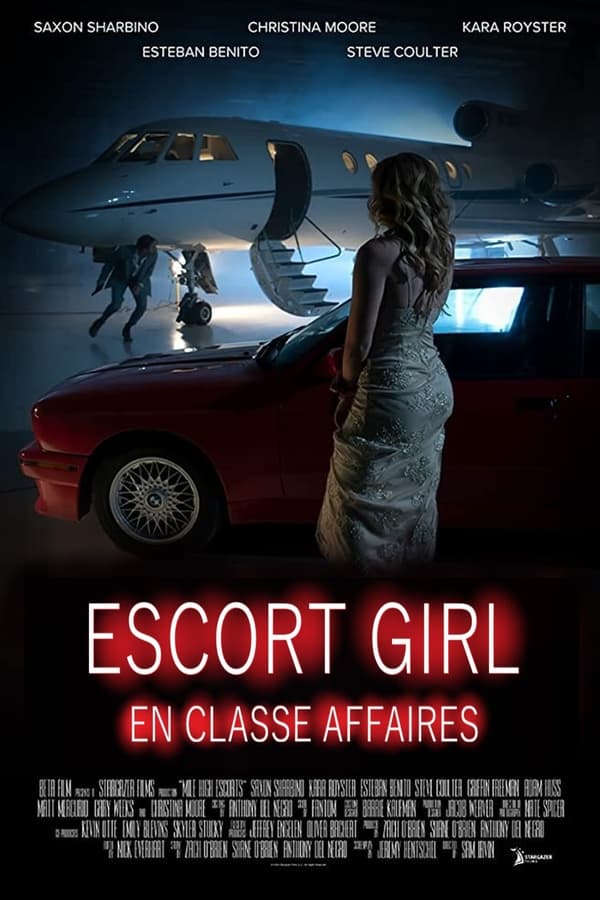 FR - Escort Girl en classe affaires  (2020)