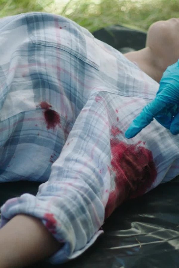 I misteri di Brokenwood – S08E05 – Episodio 5