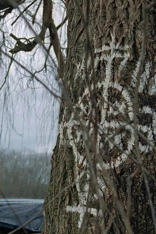 X-Files – S02E15 – Misteri voodoo