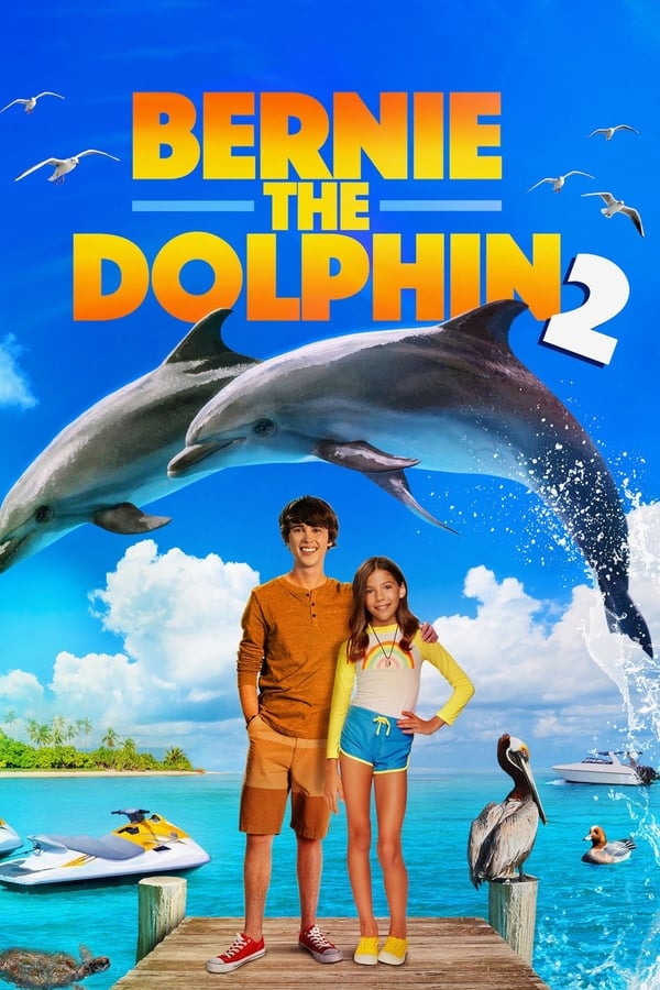 AR - Bernie the Dolphin 2