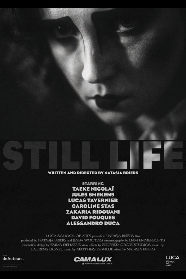 Still Life