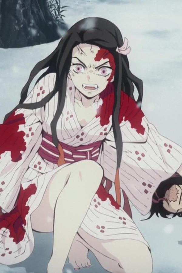Demon Slayer Kimetsu no Yaiba