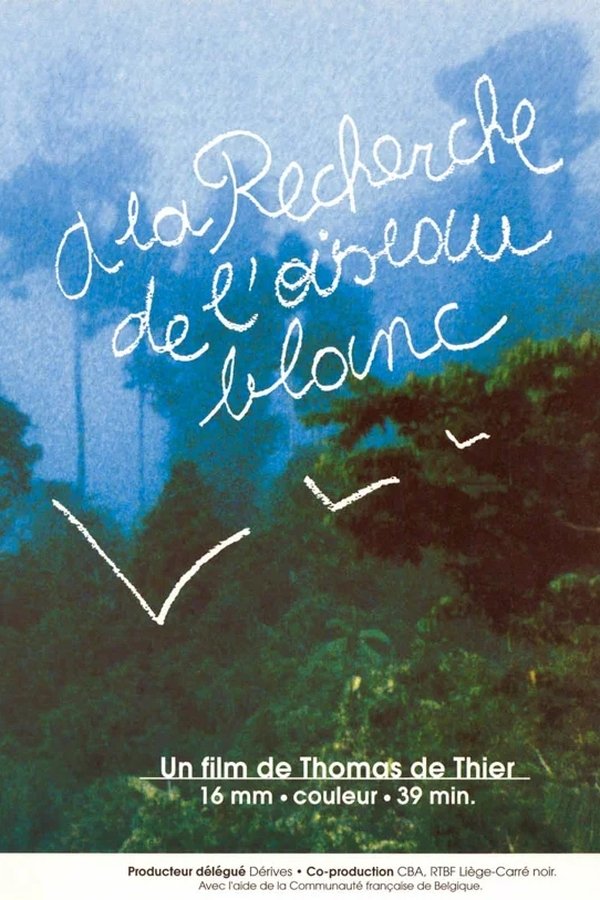 A la recherche de l’oiseau blanc