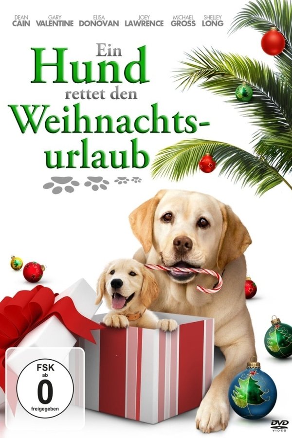 Ein Hund rettet den Weihnachtsurlaub