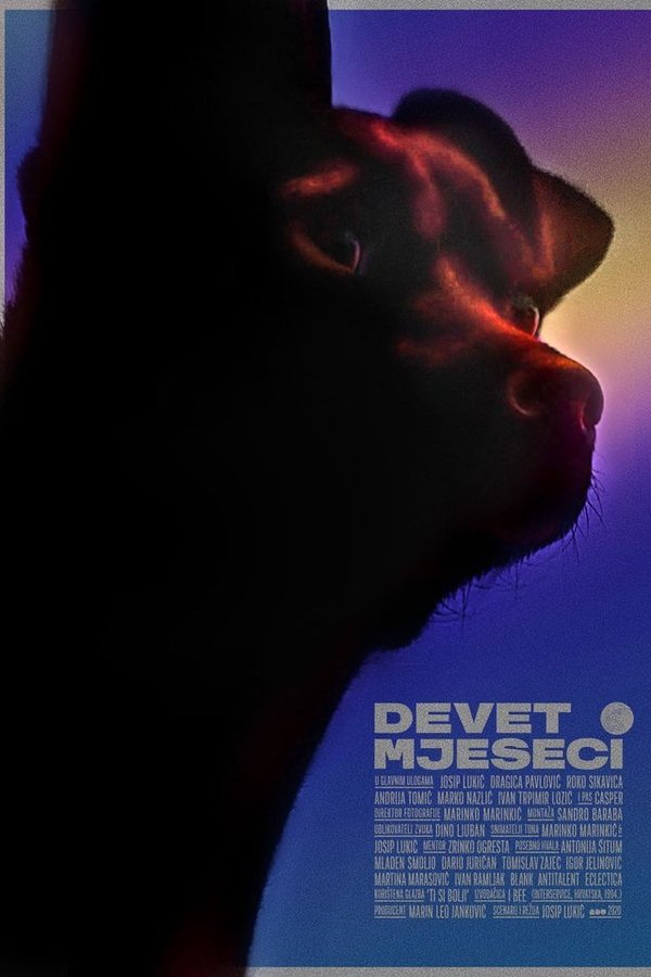 Profile