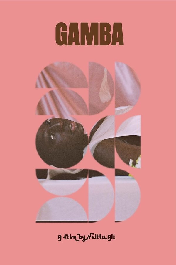 IT - Gamba