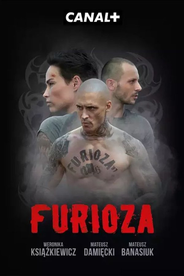 Furiosis