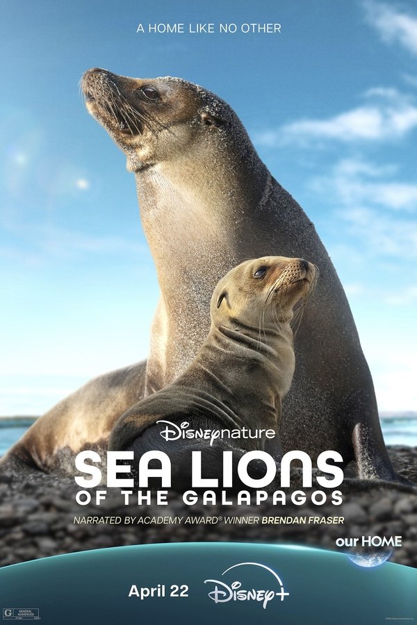 Sea Lions of the Galapagos (2025) Online Subtitrat in Romana