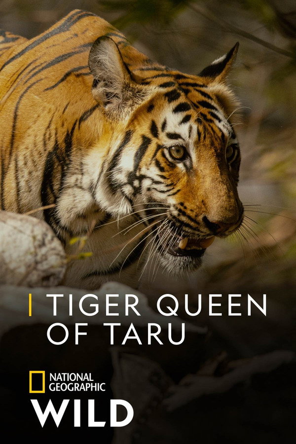 Tiger Queen of Taru (2021)