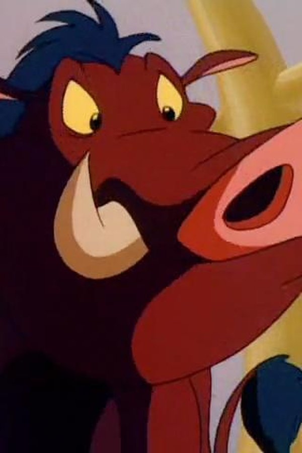 Timon e Pumbaa – S02E02 – I rimedi di nonna Timon