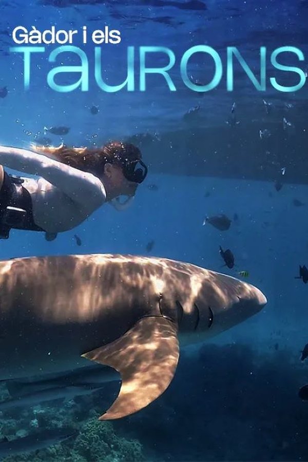 Gàdor i els taurons