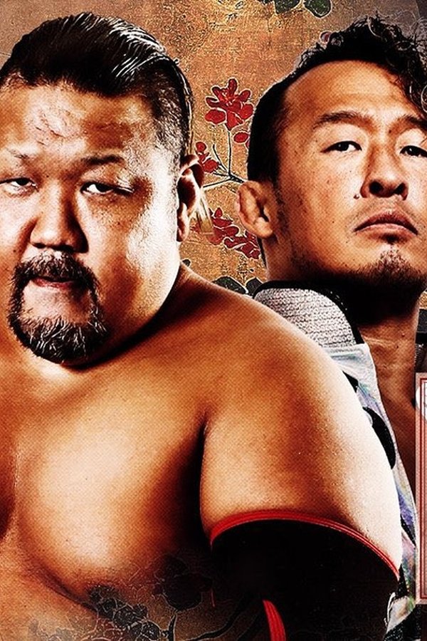 Michinoku Pro GAINA 25th Anniversary poster