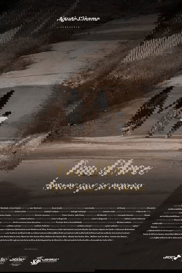 Pau D’arco: Árvore que Se Renova