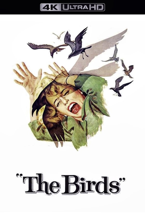 4K-EN - The Birds  (1963)