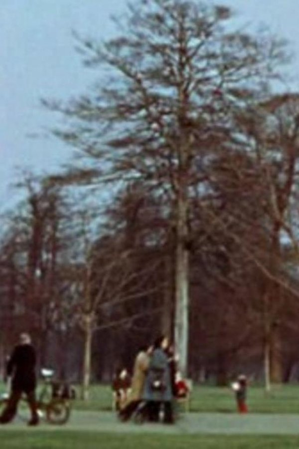 Park Film