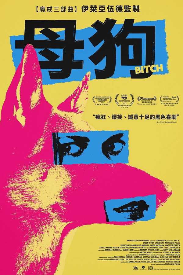 母狗