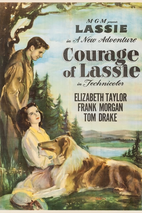 FR| Le Courage De Lassie 