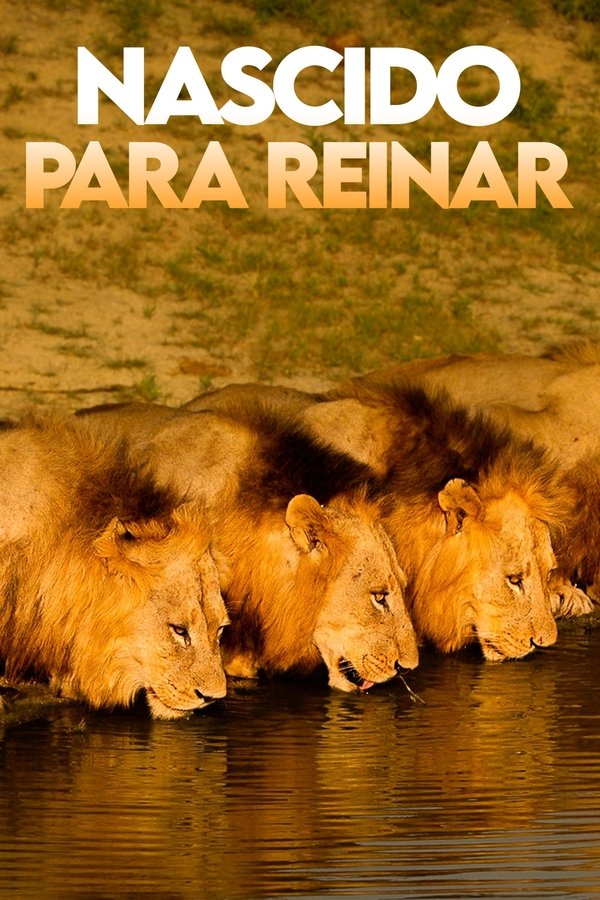 Nascido para Reinar (2015)