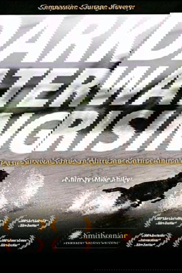 Dark Water Rising: Survival Stories of Hurricane Katrina Animal Rescues