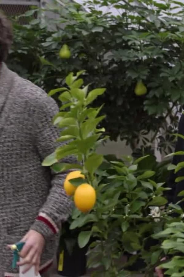 Hudson & Rex – S02E15 – Il passato non perdona