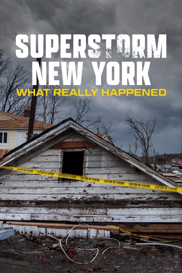 D+ - Superstorm New York: What Really Happened  (2012)