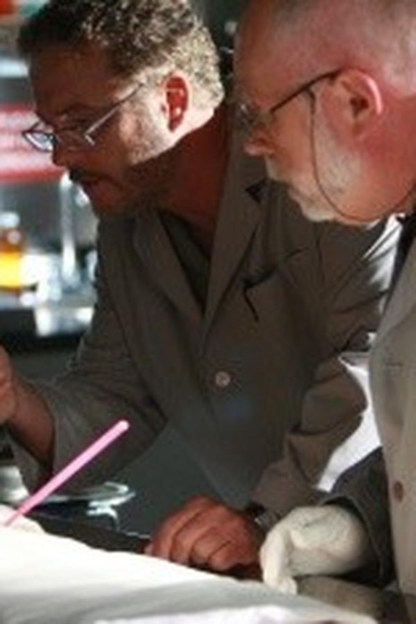 CSI: Scena del crimine – S09E06 – Infanzia tradita