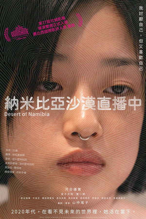 纳米比亚的沙漠