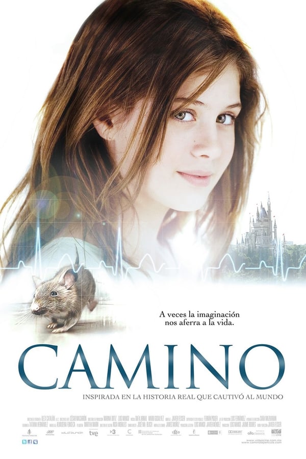 NL: Camino (2008)