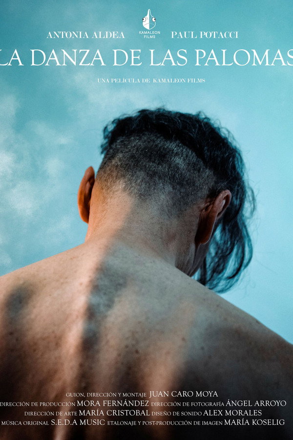 La danza de las palomas